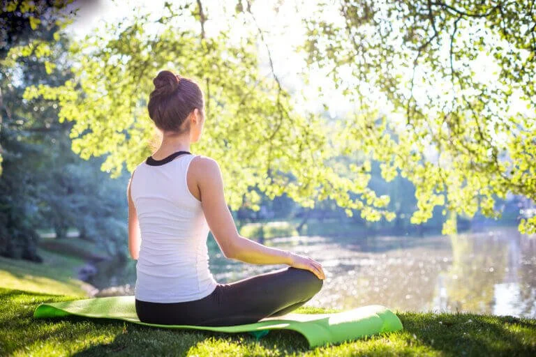 Elevate Your Life: Yogic Wisdom for Modern Challenges