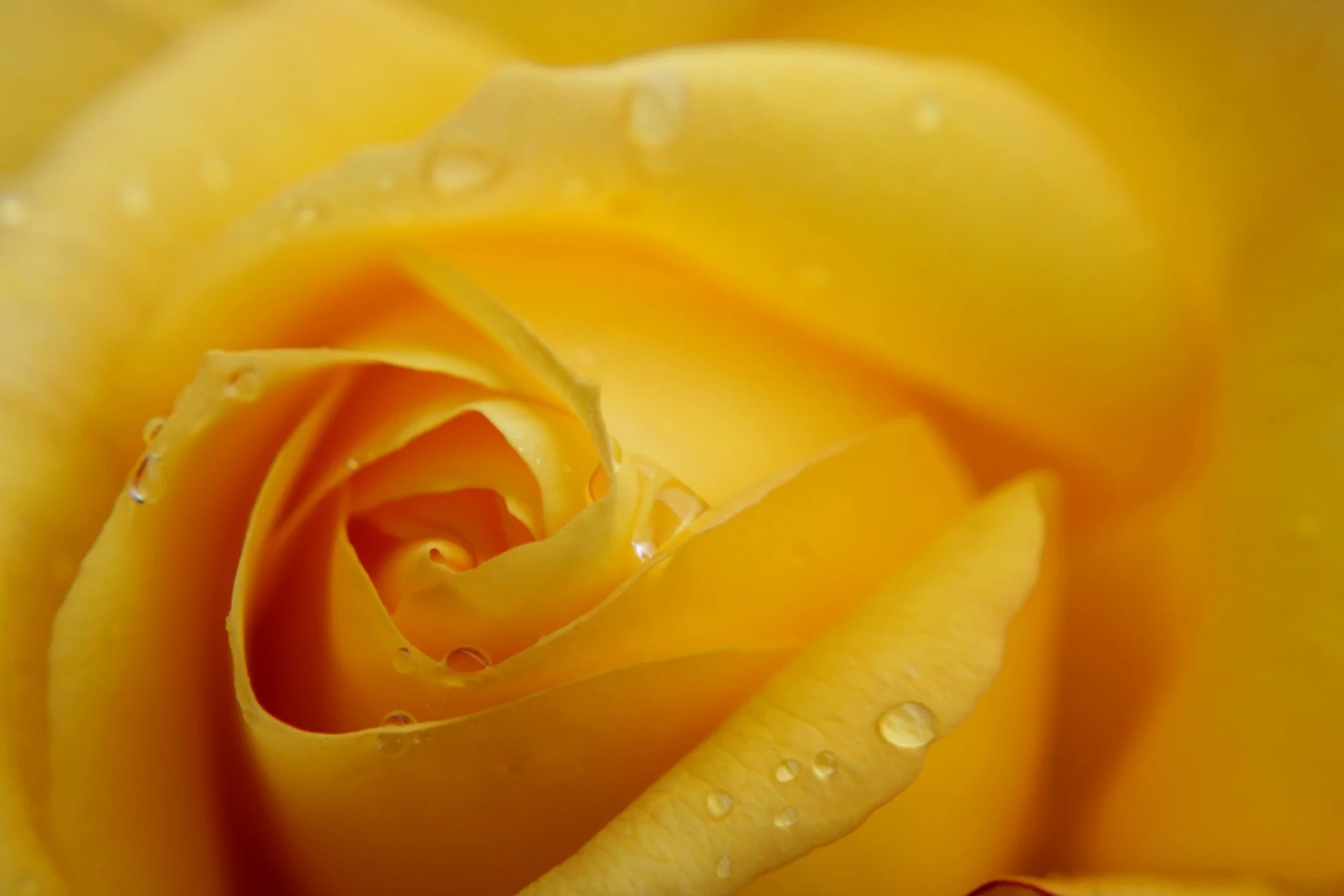 Opening to Divine Mother’s Presence 