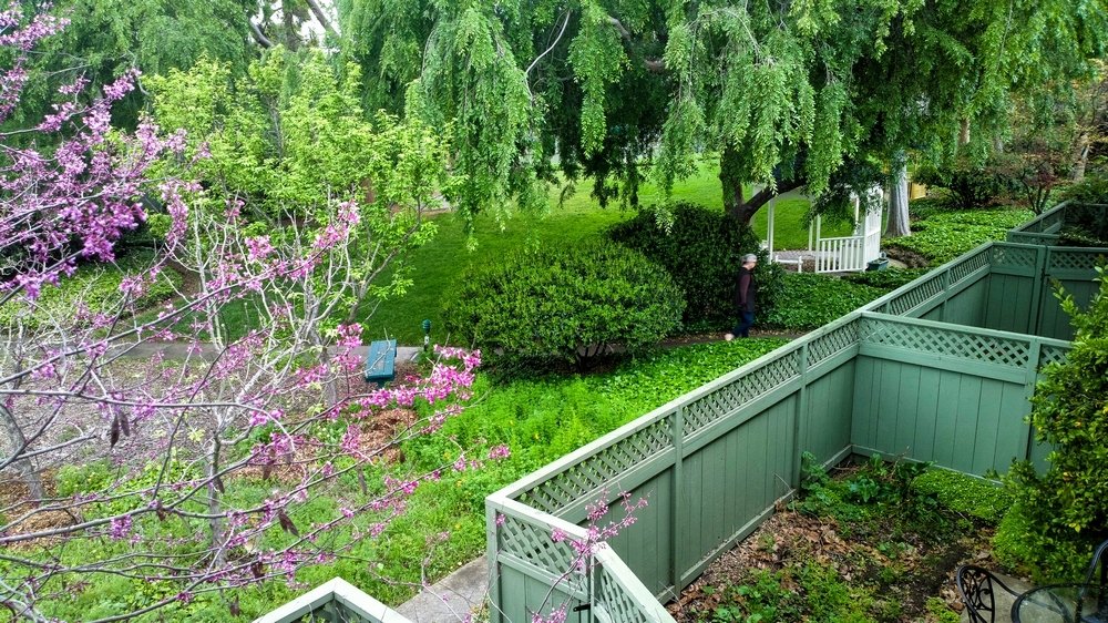 ananda-community-mountain-view-ca-view-from-2nd-story-units-studios-and-1b.jpg
