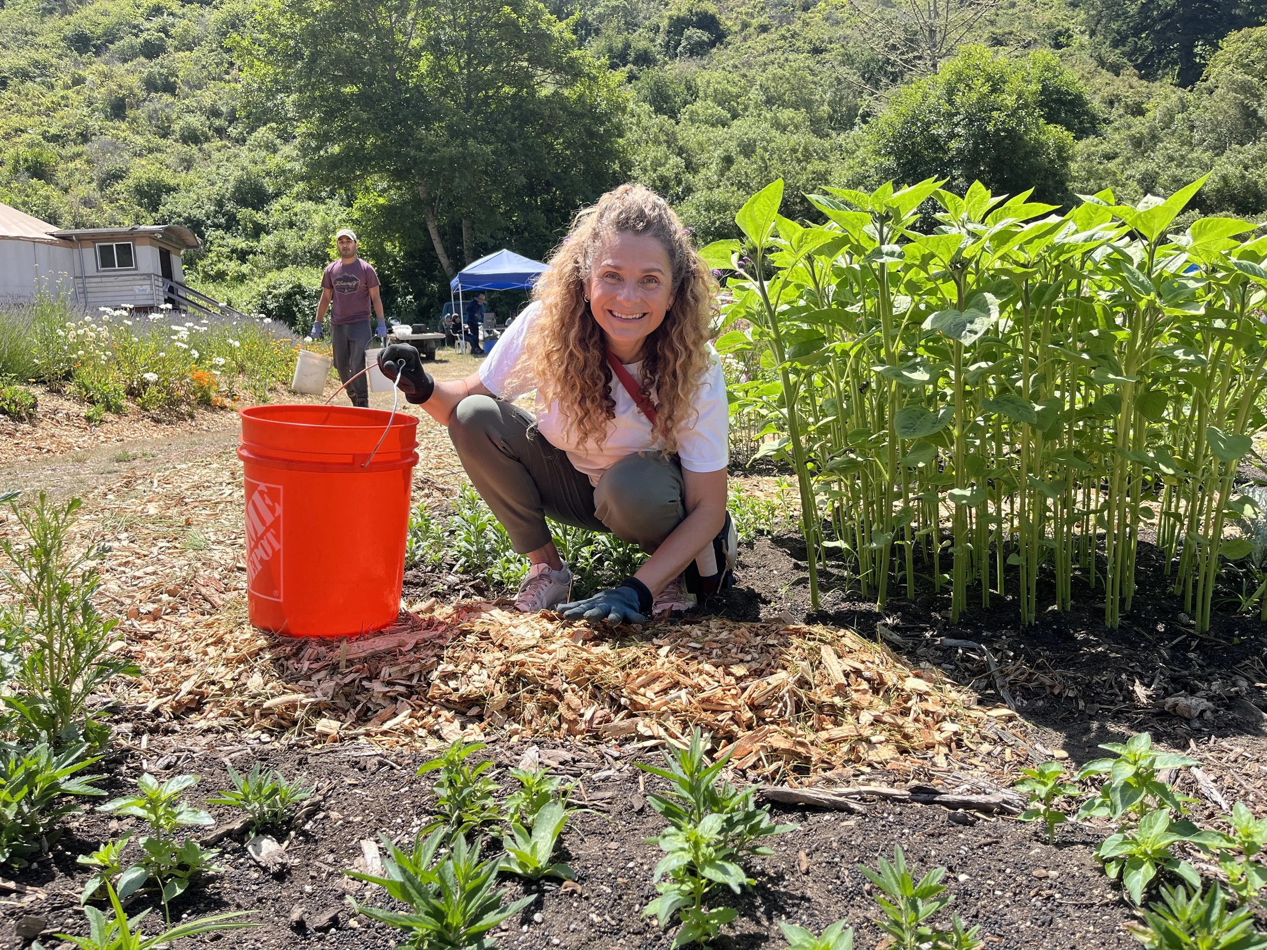 Ananda Valley Farm Community Work Day