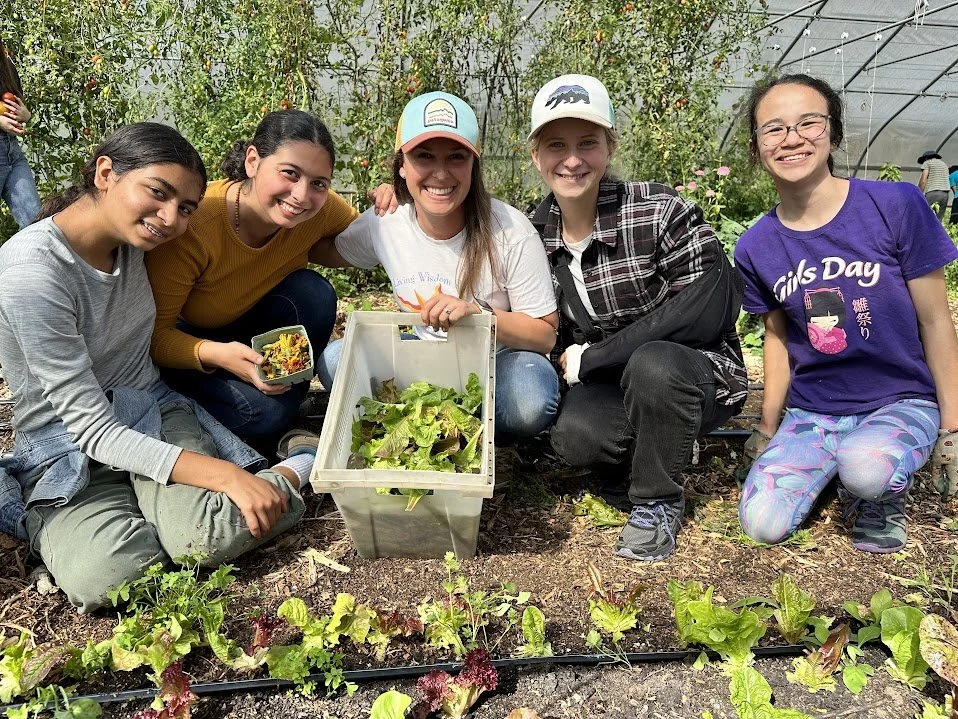 Ananda Valley Farm Community Work Day
