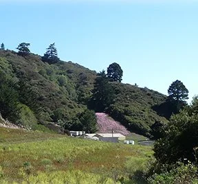 Farm view into valley sm square.jpg