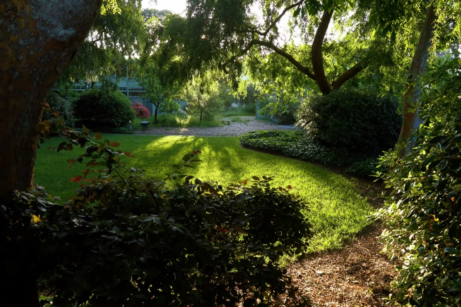 24 Courtyard in late afternoon.webp