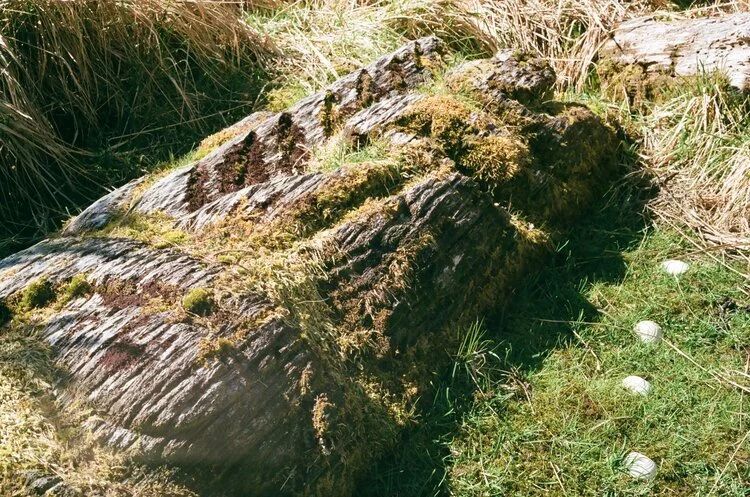 A fallen mortuary pole resting on the ground and cordoned off by white clamshells. (Film Photo: Trixie Pacis)