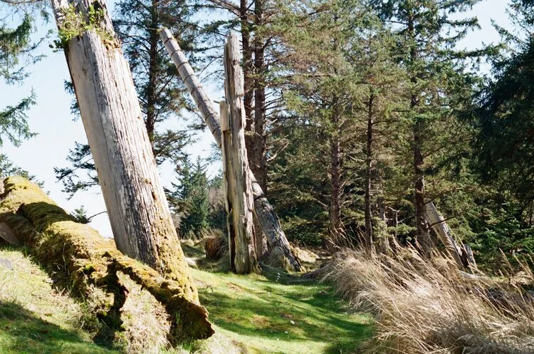 K’uuna’s leaning mortuary poles. (Film Photo: Trixie Pacis)