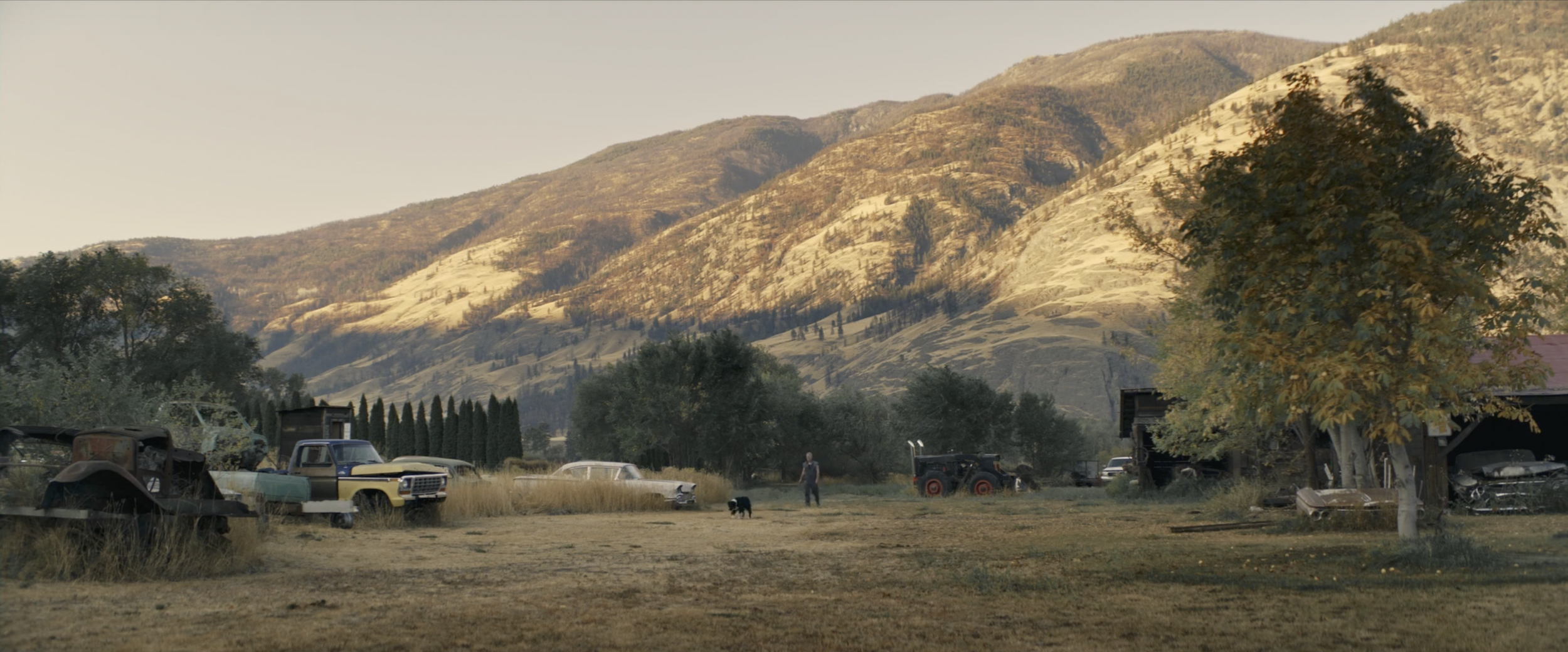 Walk With Me: Making Movie Magic in a Pandemic