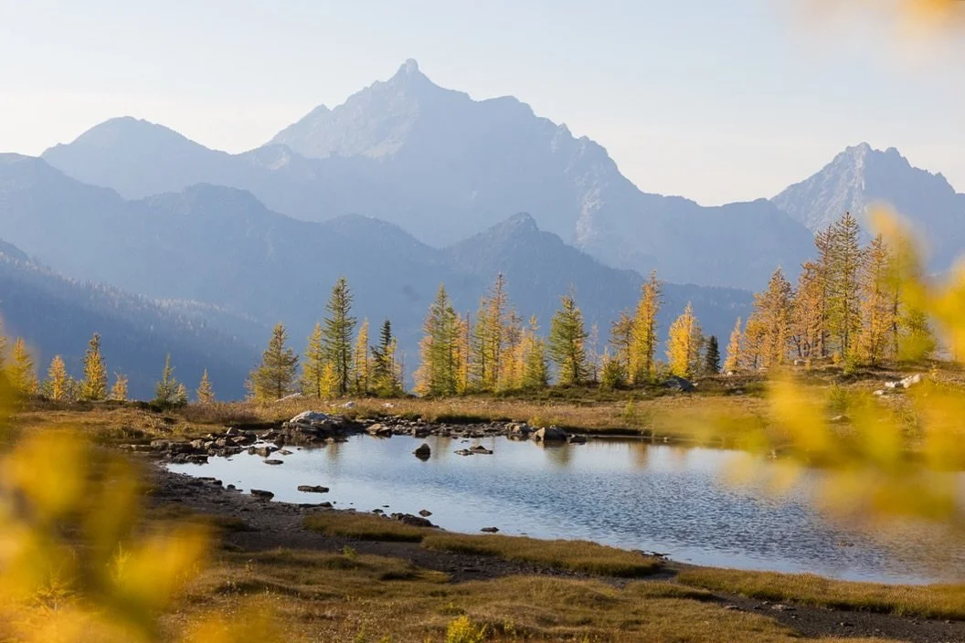 This was one of those moments where you forget about the shot list and simply soak it all in. 🍂
Shot on assignment for @tourismkimberley with @lukasnemethfilms @scotproudfoot @steve.inthesticks. 
#larches #larchseason #larchmadness #kimberley #kim
