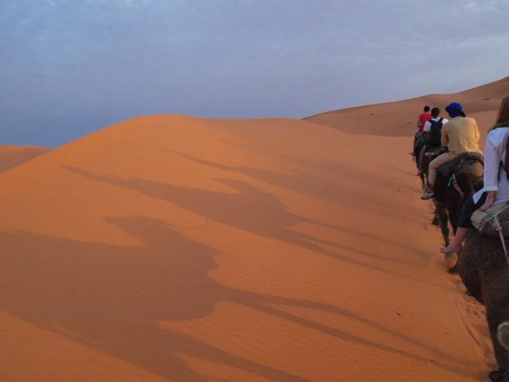 CamelShadows.jpg