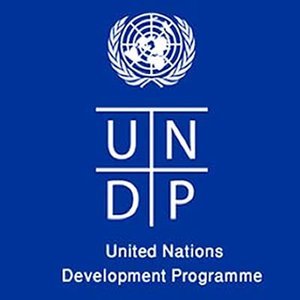 logo-UNDP.jpg