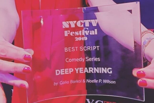 aften læsning Logisk Best Script NYCTV Fest — Noelle P. Wilson