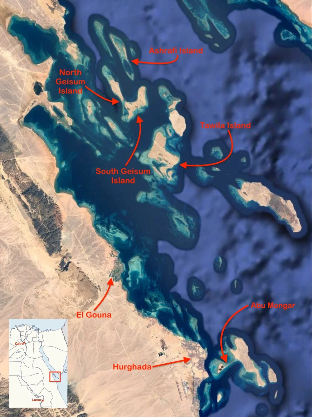 Egypt Kitesurfing Locations [UPDATED for 2023] For Kite Safaris and Kite  Cruises on the Red Sea — Dragonfly Kite Safaris