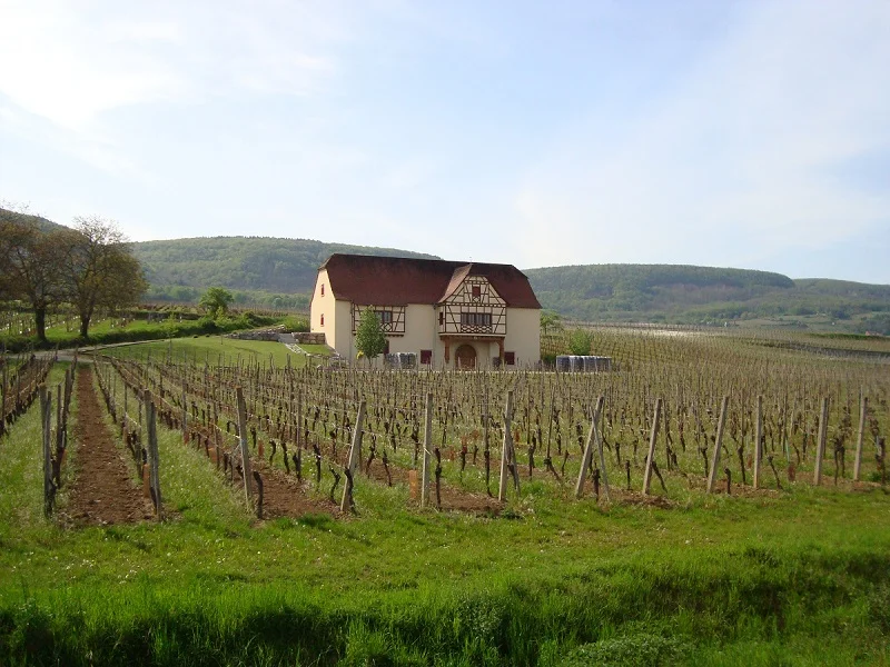 Moltes_Estate_jstrecker web_update 2016.jpg