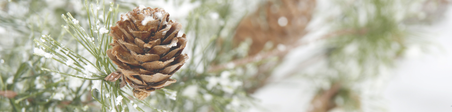 Untitled design (1).png