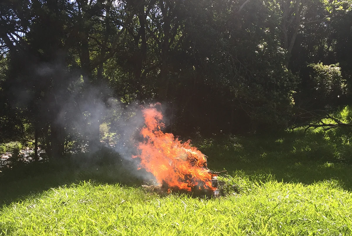 When all the hard work goes up in smoke after discovering American Foulbrood.