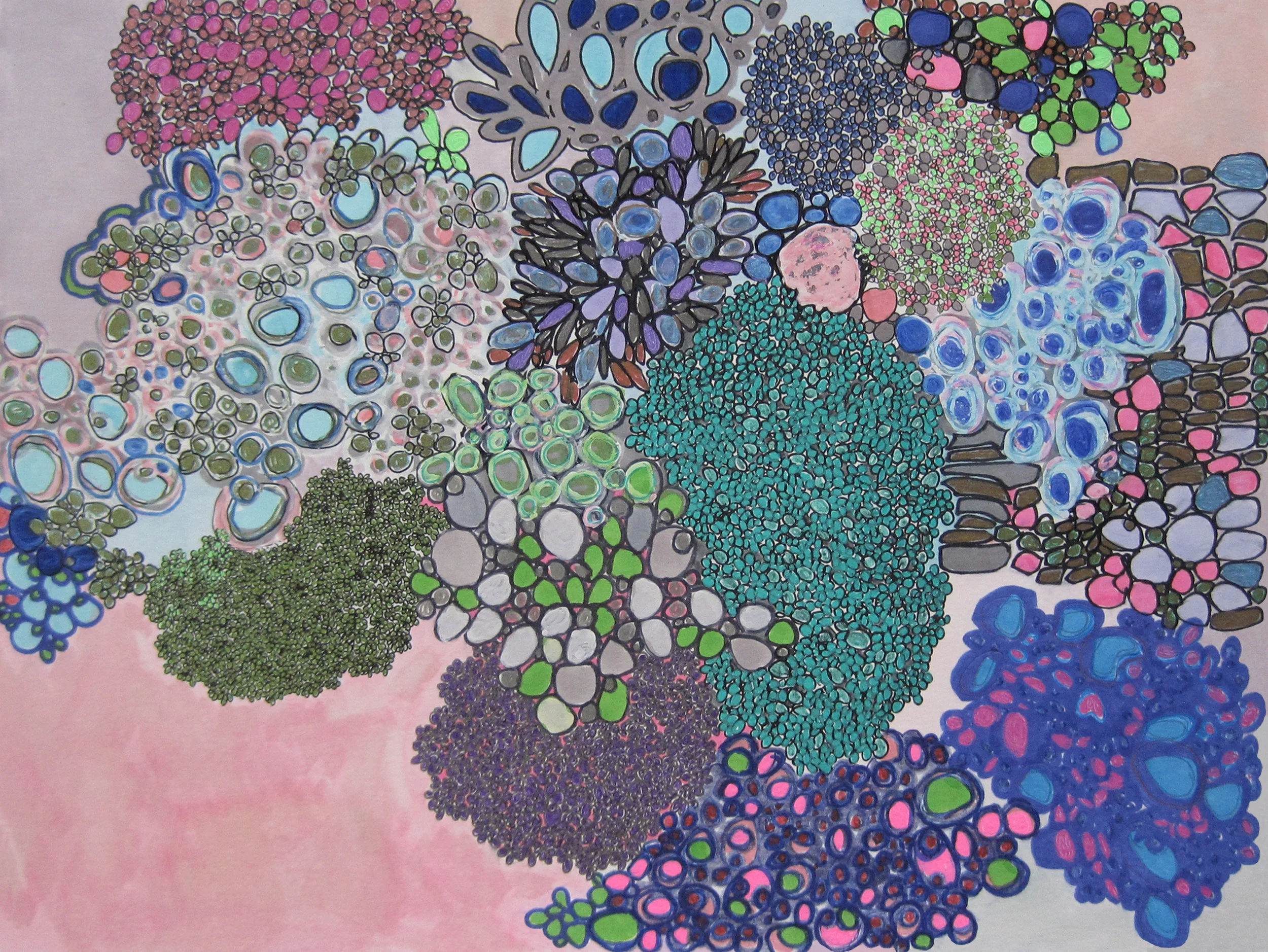 Spring Blossoms