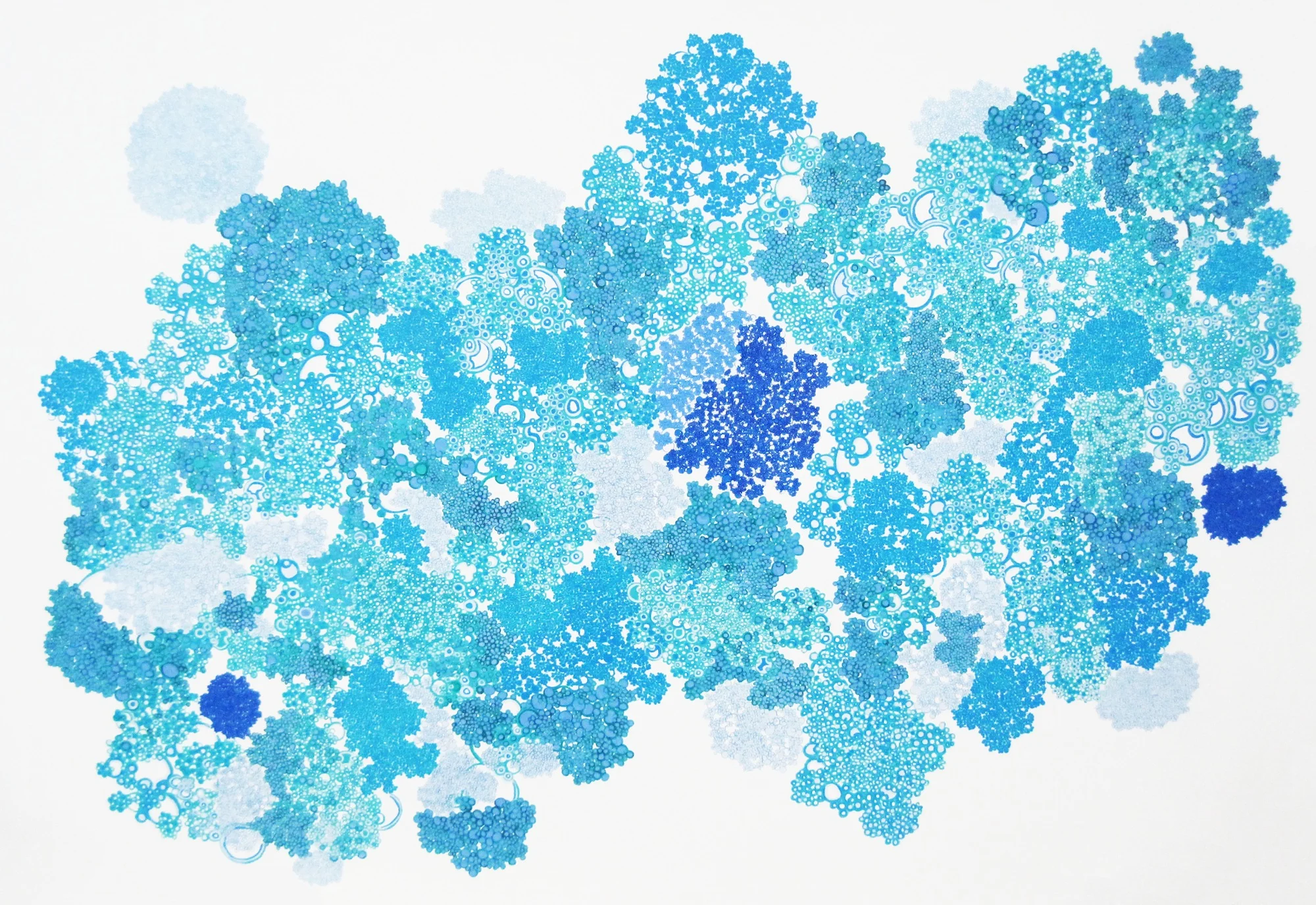 Hydrangea