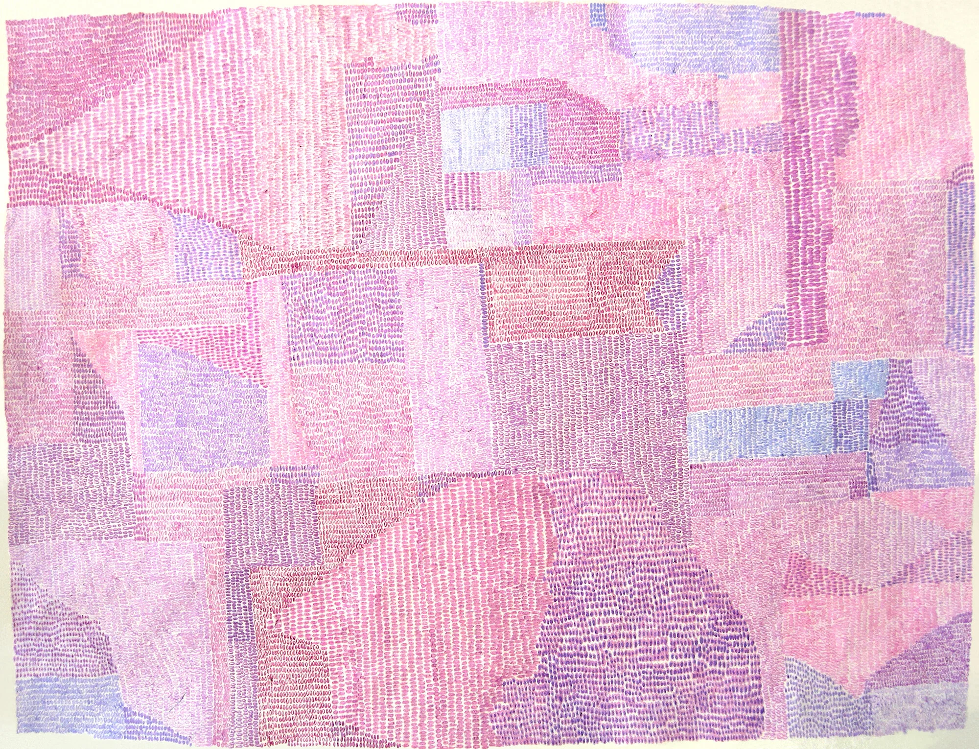 Quilt