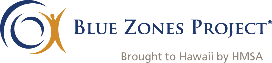 BZP Logo 2017 CMYK_HMSA.png