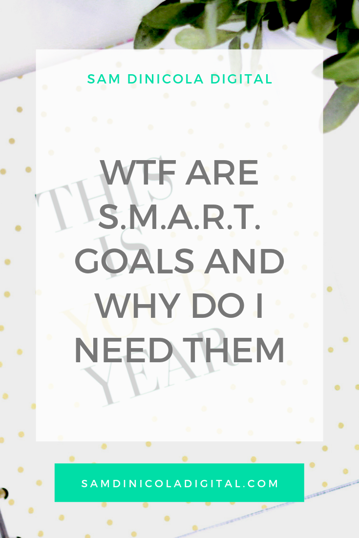 WTF are S.M.A.R.T. Goals and Why Do I Need Them _8.png