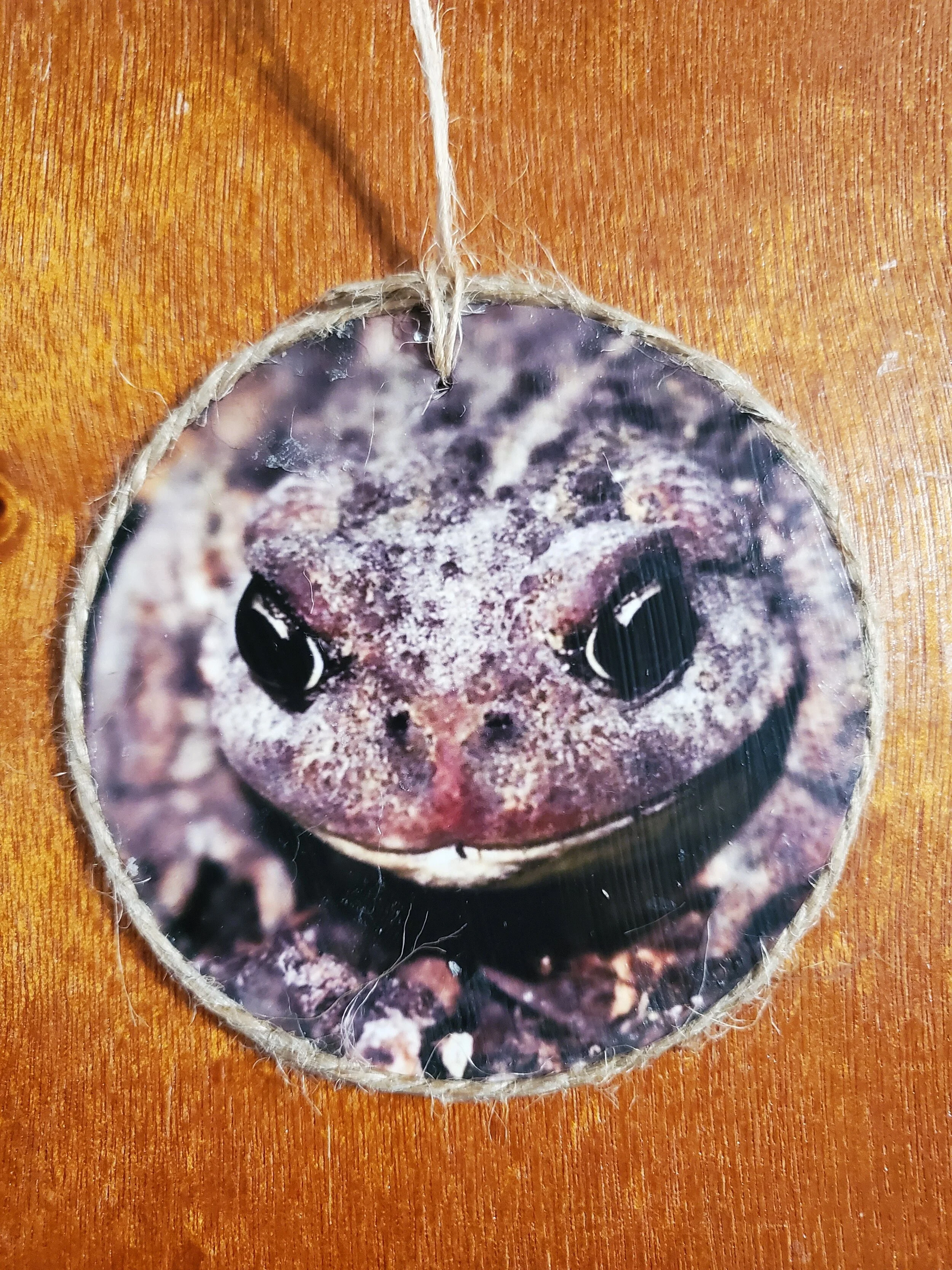 Frog Ornament