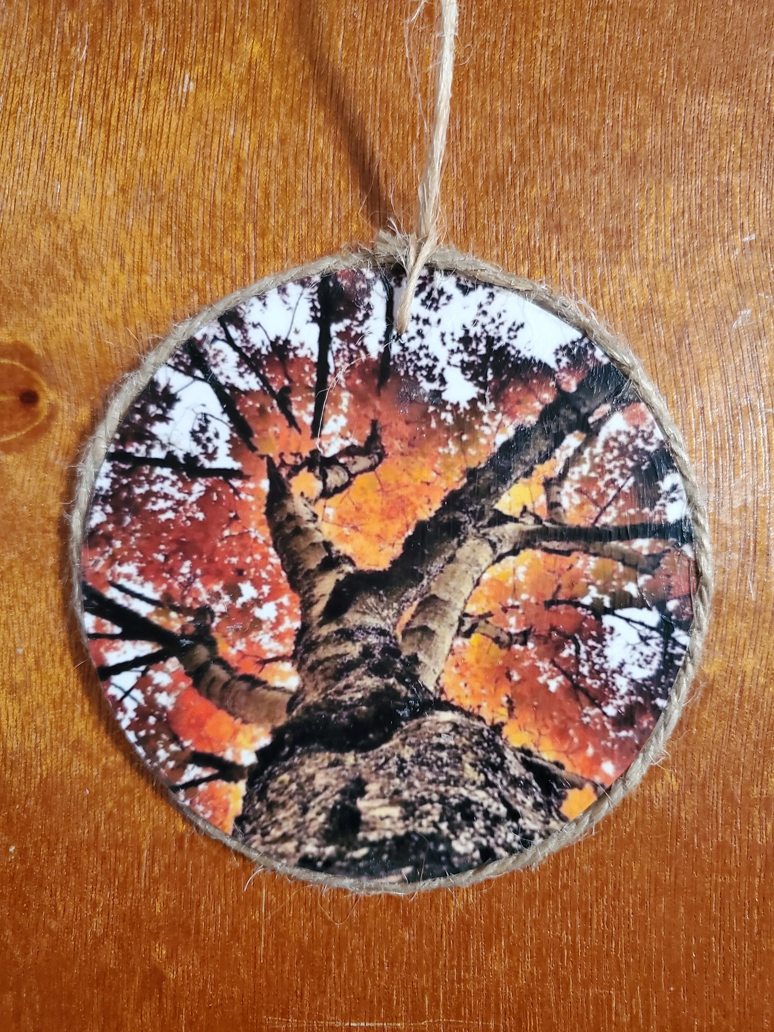 Tree Ornament