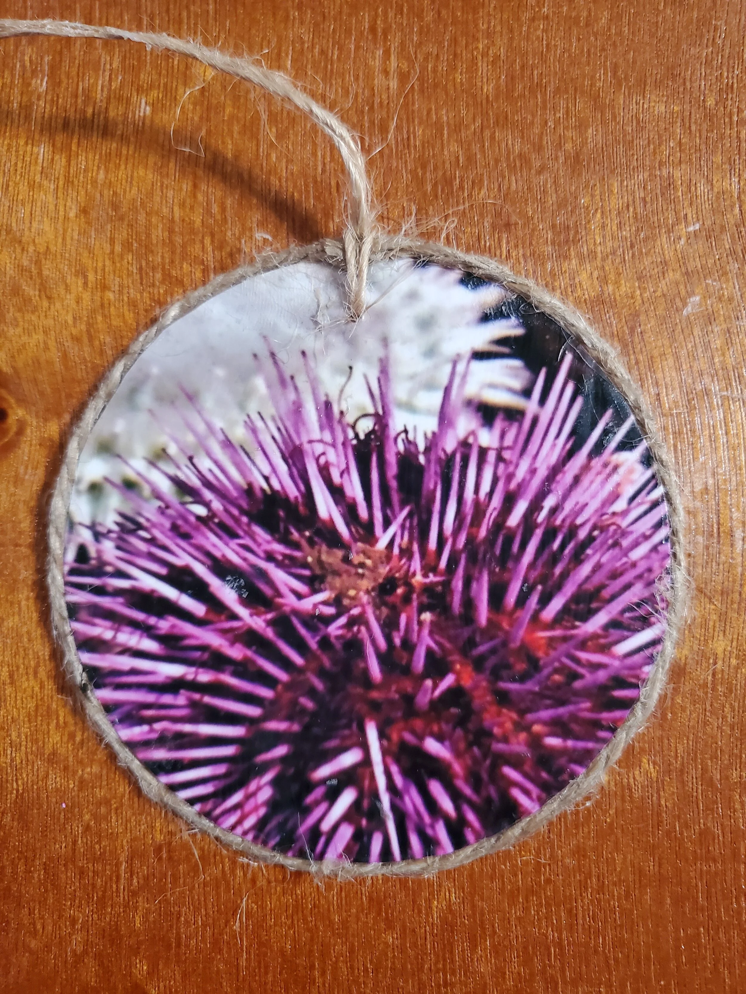 Sea Urchin Ornament