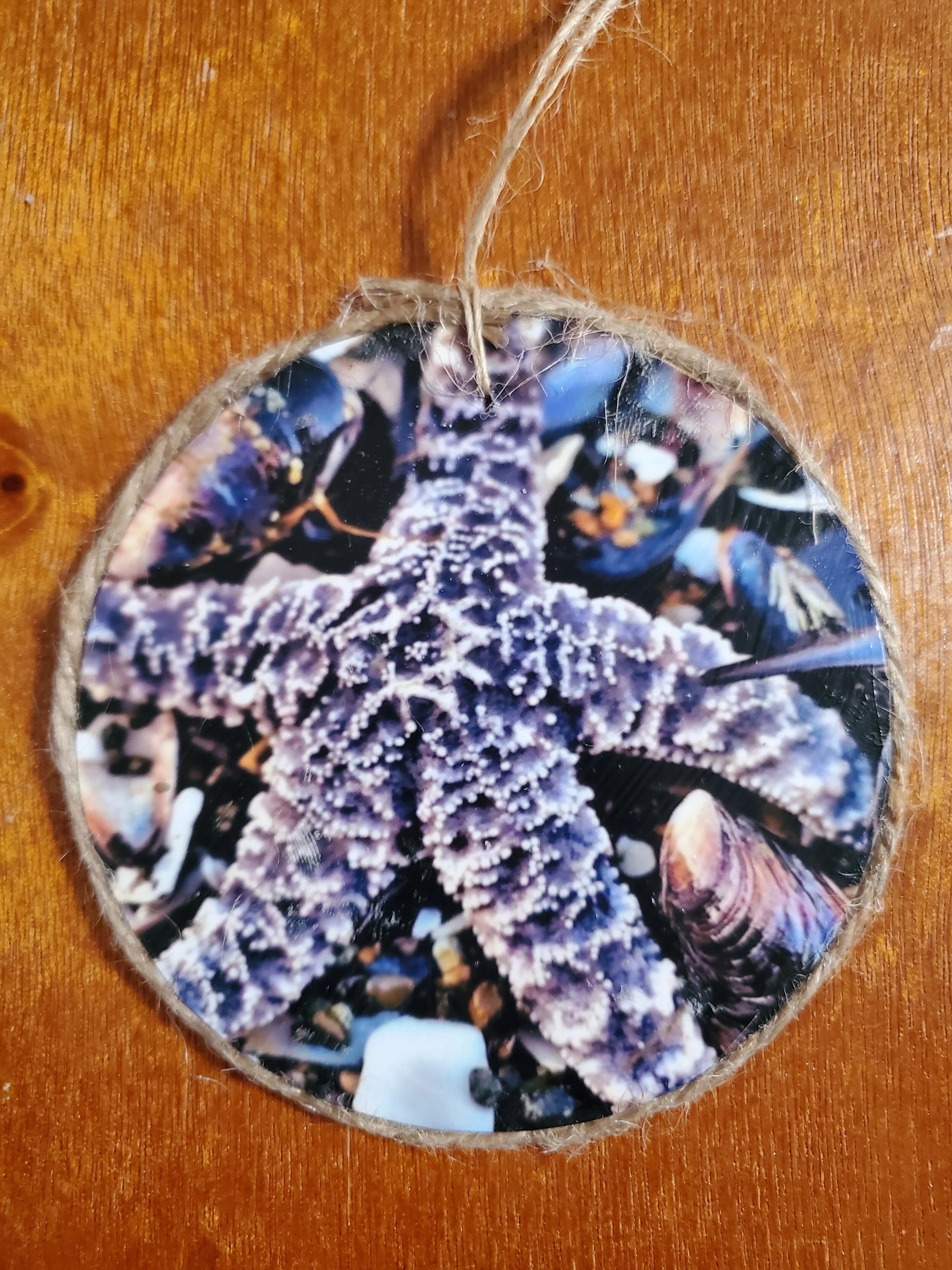 Starfish Ornament