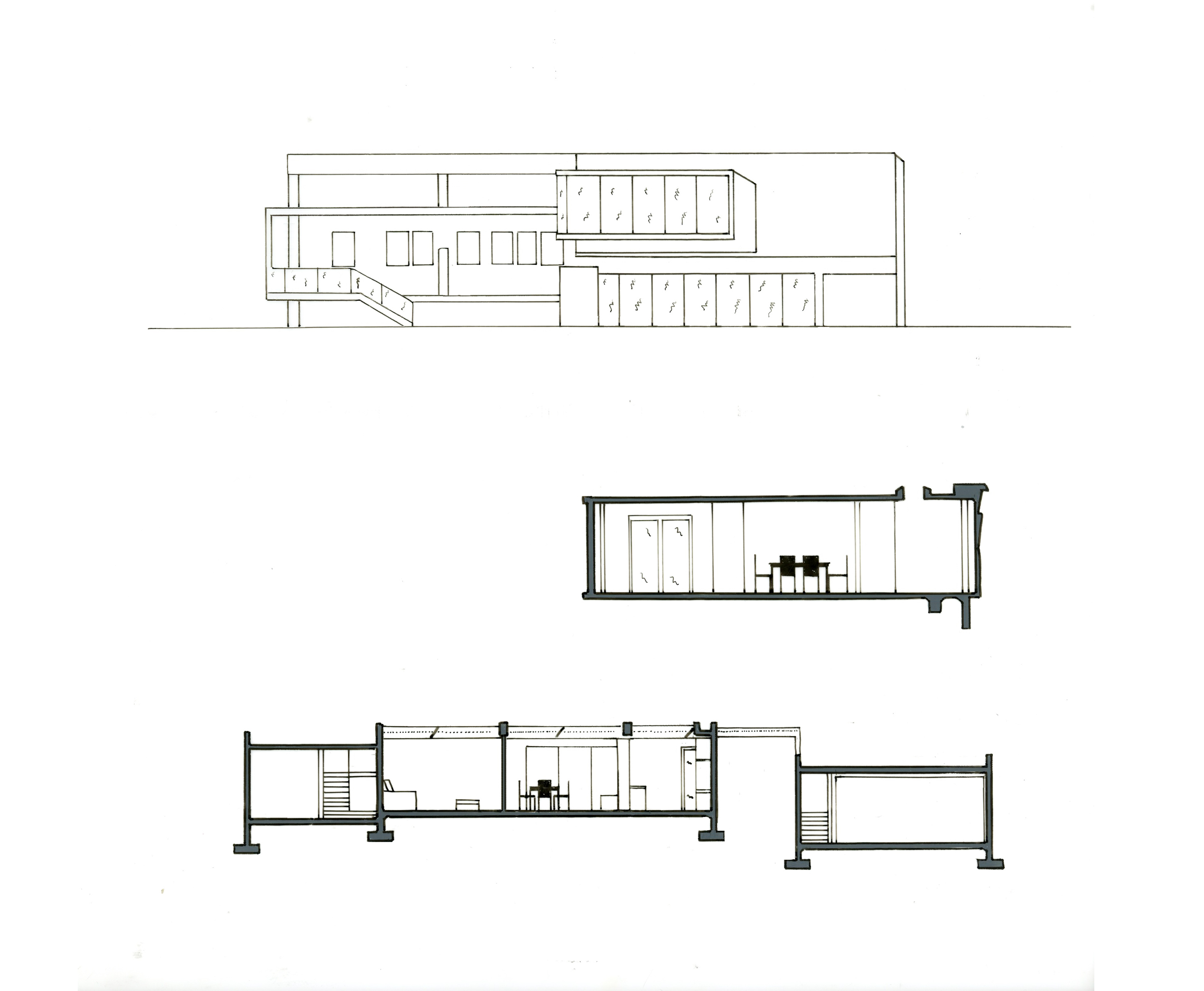 Case Study House- Section and elevation.jpg