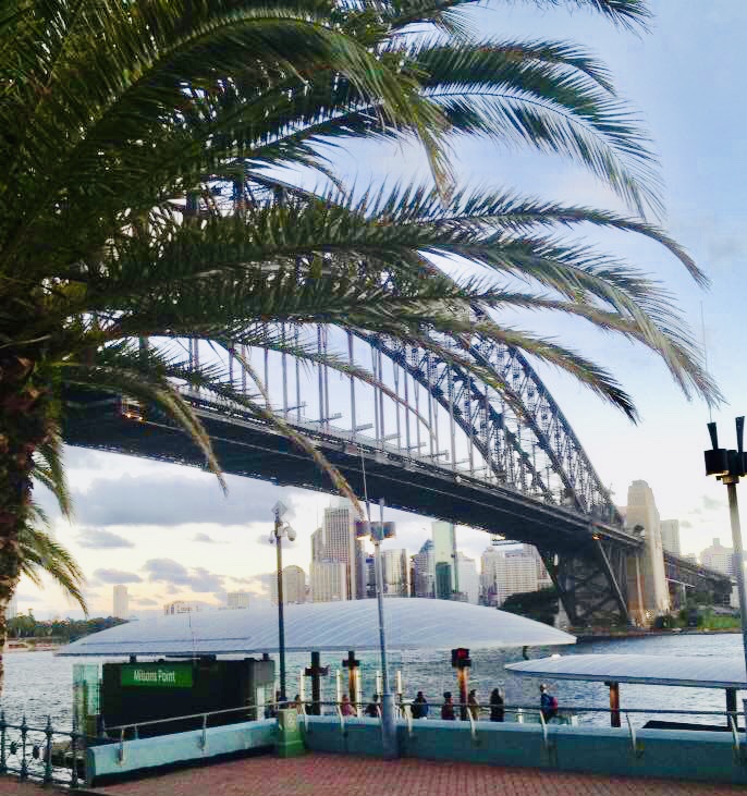 palms-harbour-bridge.jpg