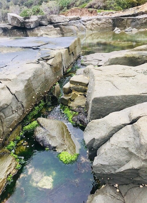 yamba-rock-pools3.JPG