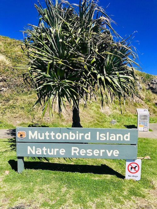 muttonbird-island3.JPG
