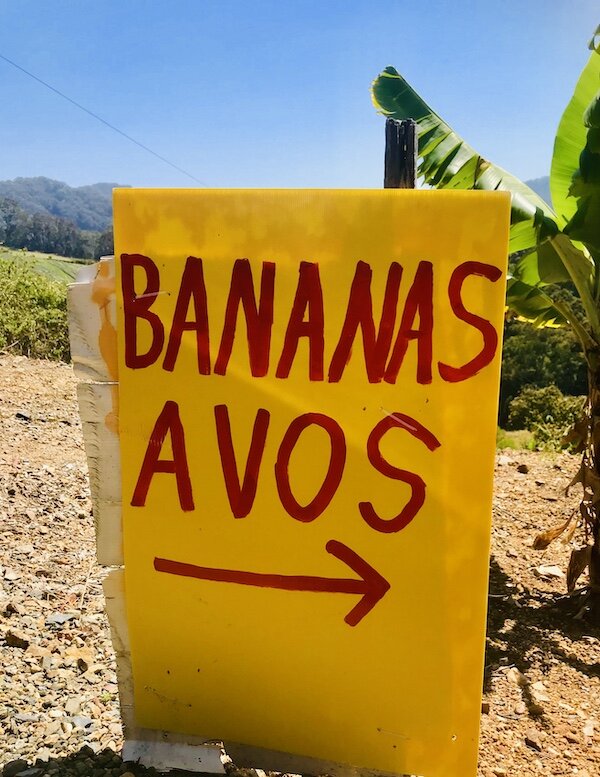 banana-avo.jpg