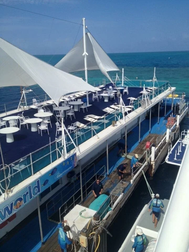 great-barrier-reef.JPG