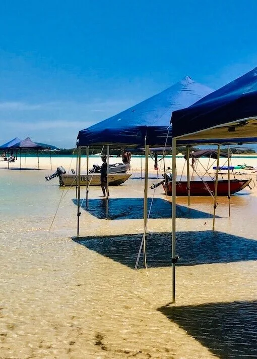 Cotton Tree - Sunshine Coast, Queensland