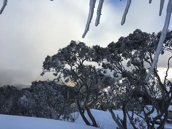 The Snowy Mountains - fun in winter or summer! An Adventure Playground
