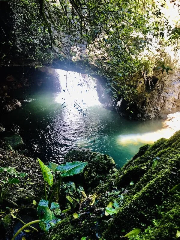 Natural Bridge - Numinbah Valley