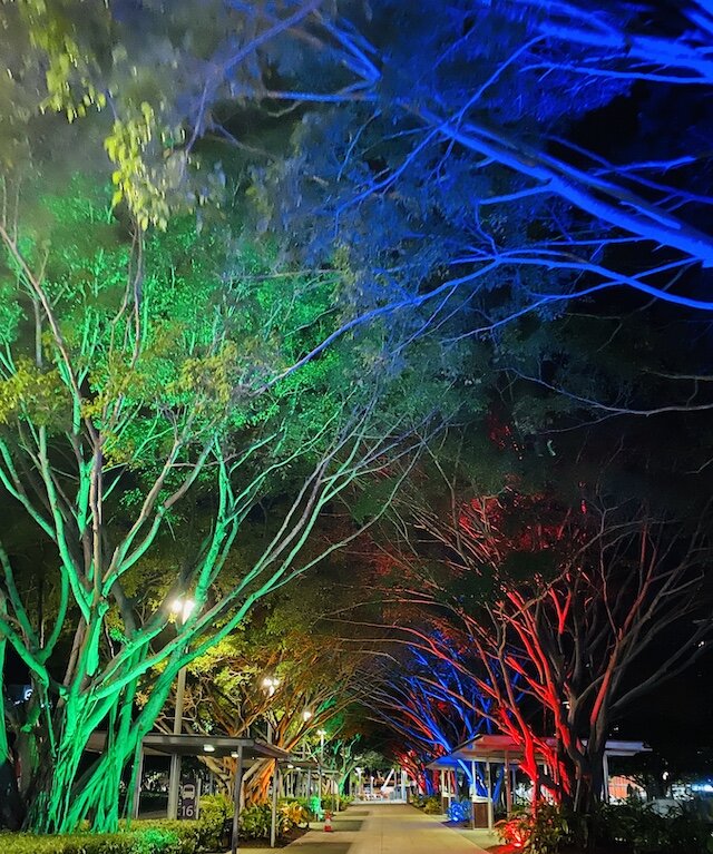 trees-night1.jpg