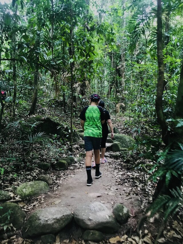 rainforest-walks-mossman.jpg