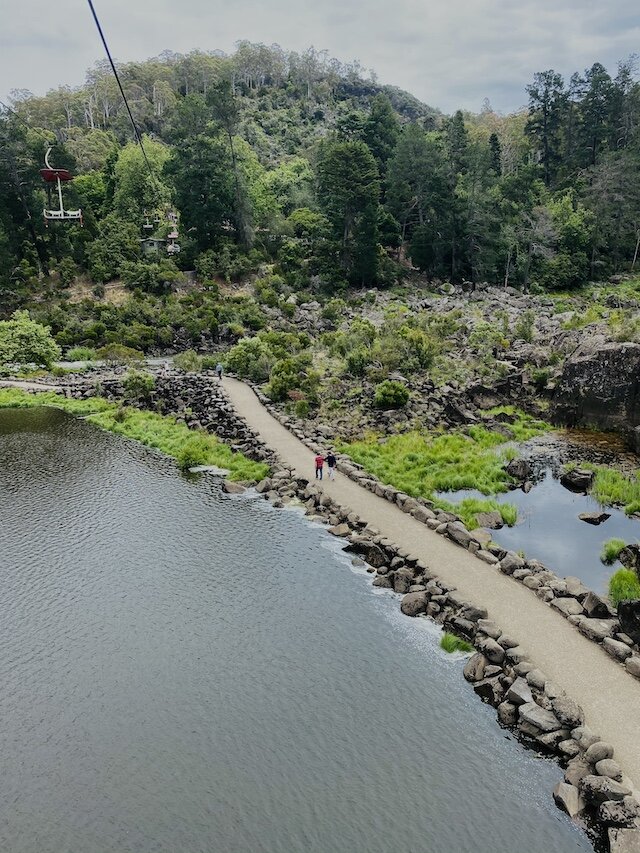 view-from-chairlift copy.jpg