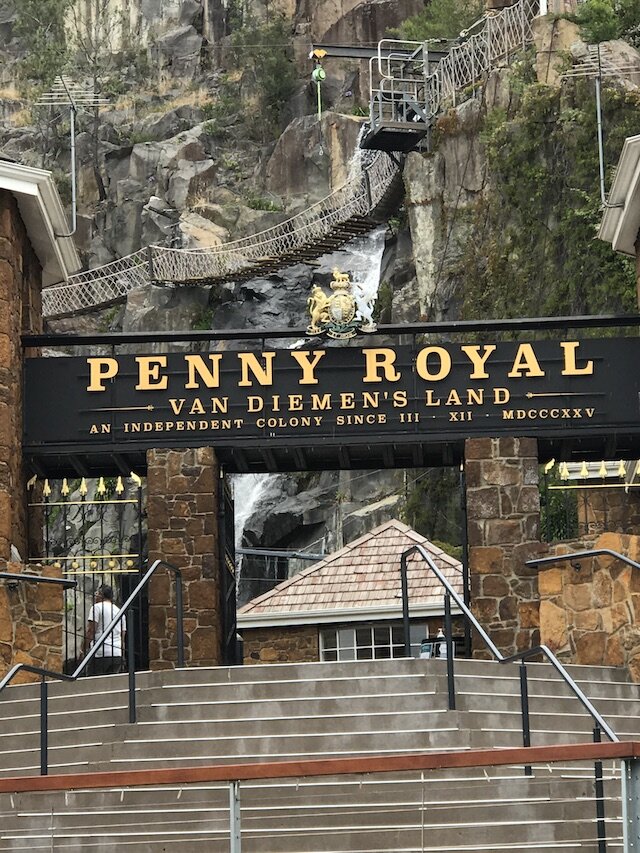 entry-penny-royal.jpg