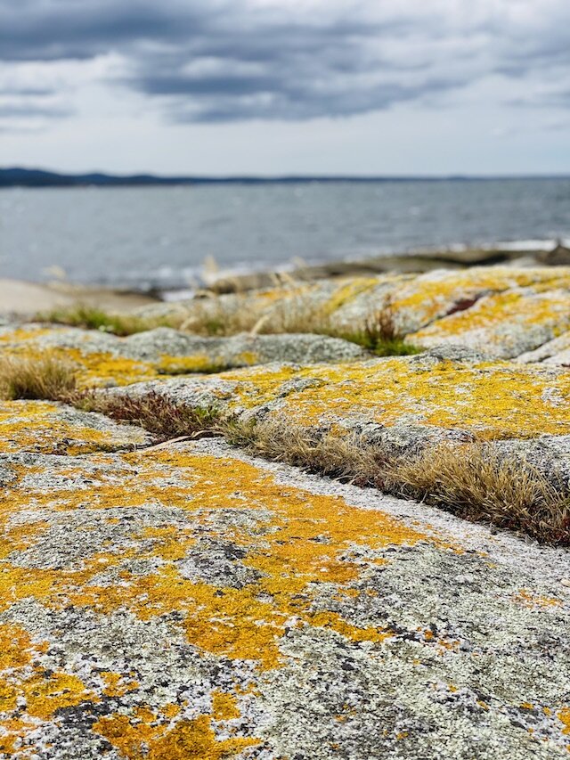 rocks-at-bay-of-fires.jpg