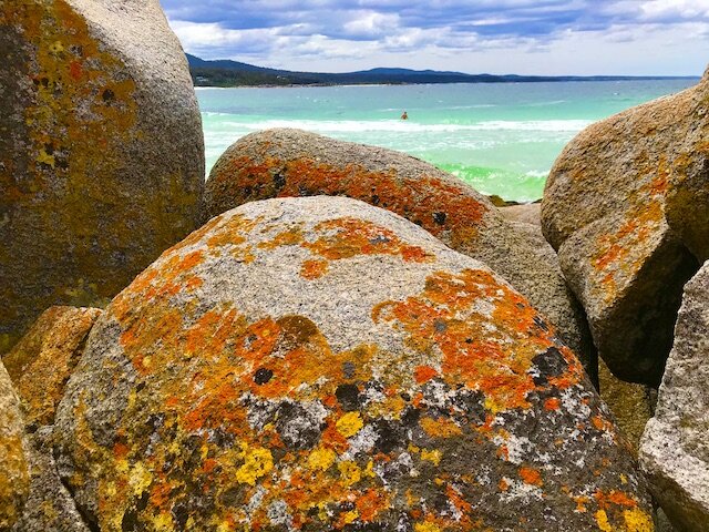 orange-lichen-covered-boulders.jpg