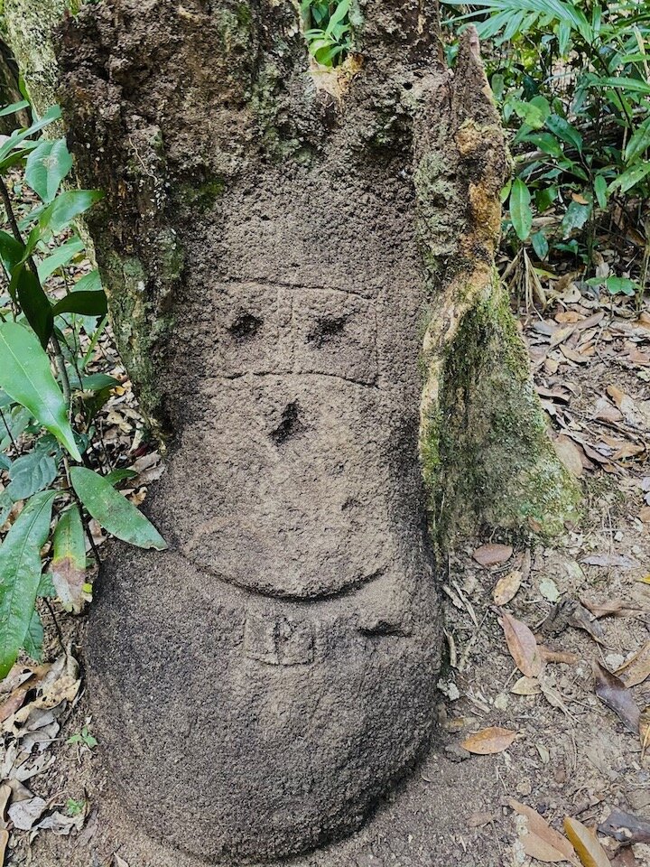 smiley-tree-trunk.jpg