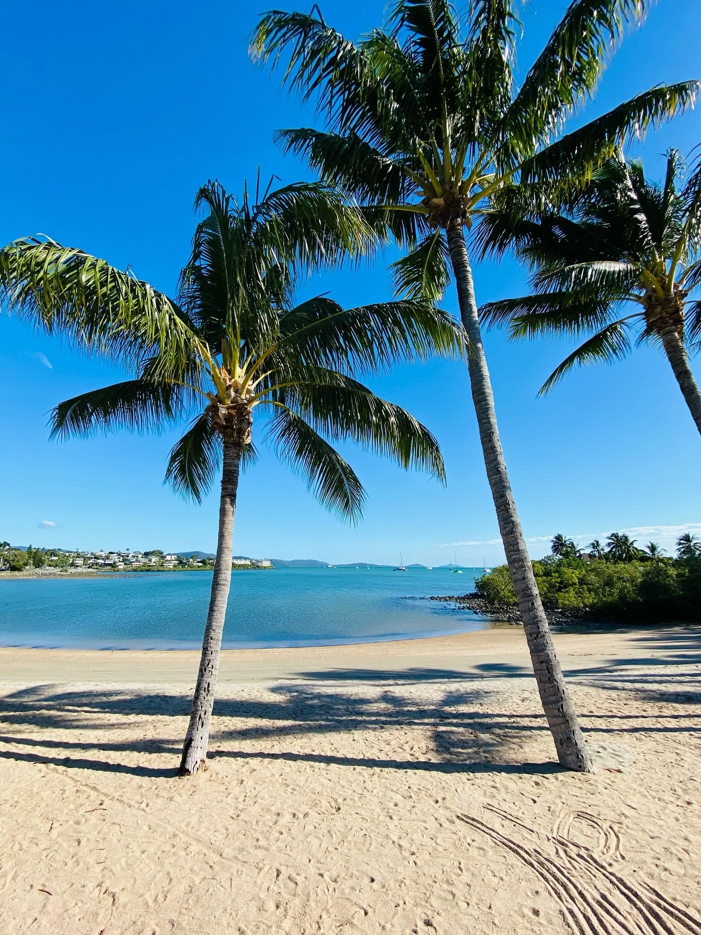 I found something today. Apparently I wrote myself a note - a commitment to ‘50 things turning 50’ (and that was some time ago now!) 
I looked over the list, wondering if I stuck to it.  It was good to reflect. 
Here’s some from t