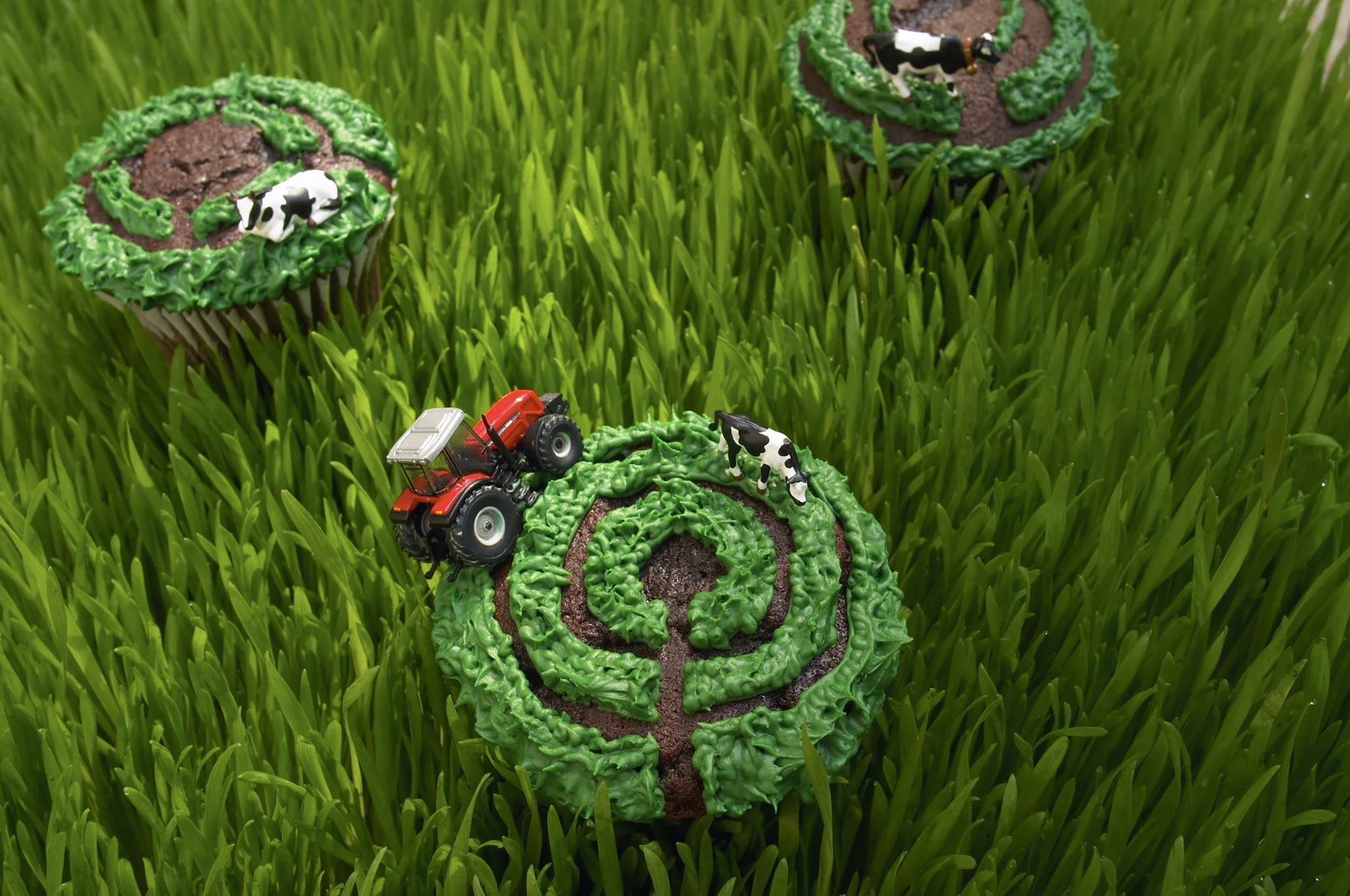 CropCircles-07_hero-2.jpg
