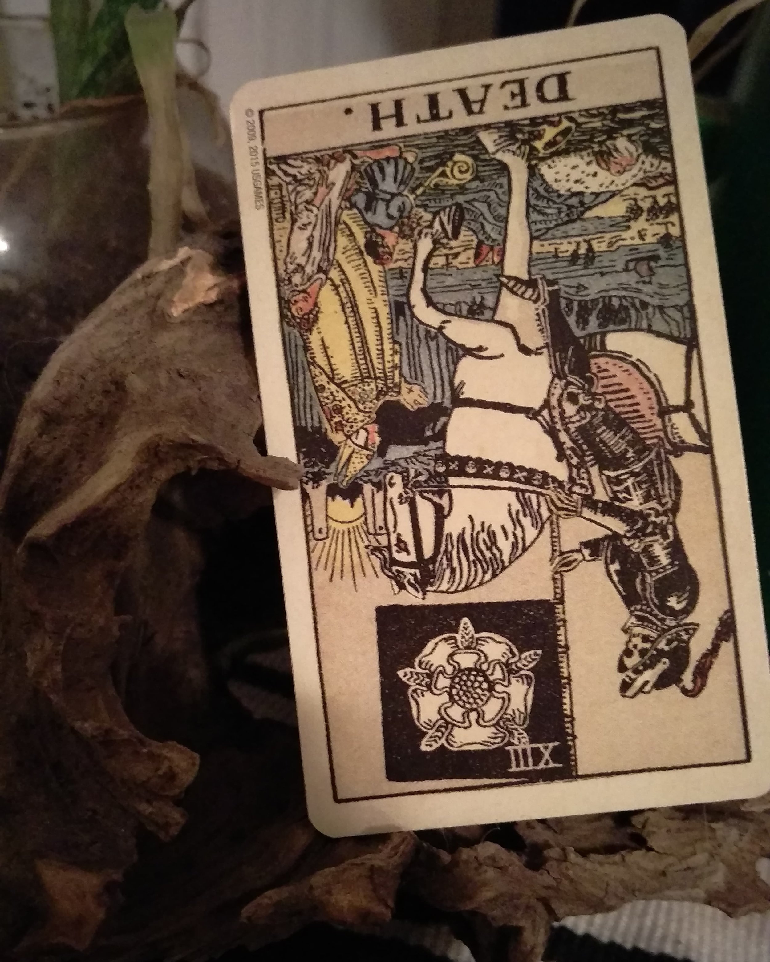 Death Reversed, photo credit E. Tempesta