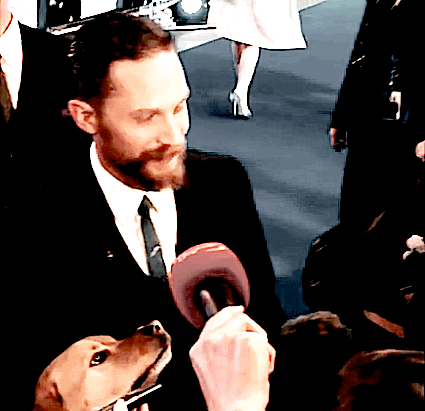 tomhardy2.gif
