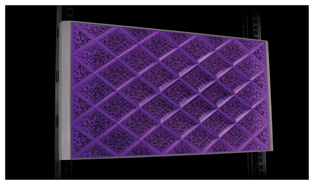 vexata5.jpg