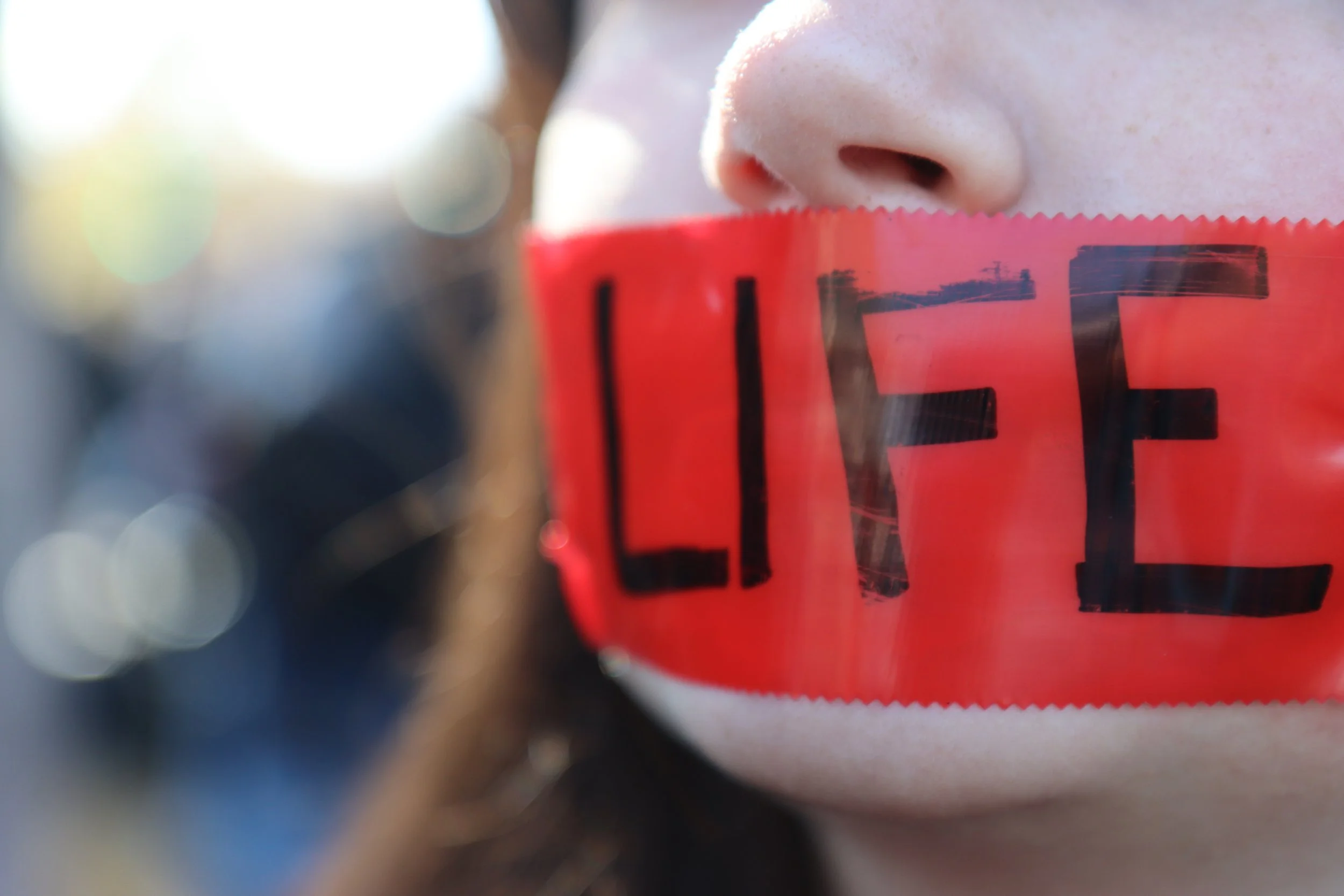 101 - A Child is Born