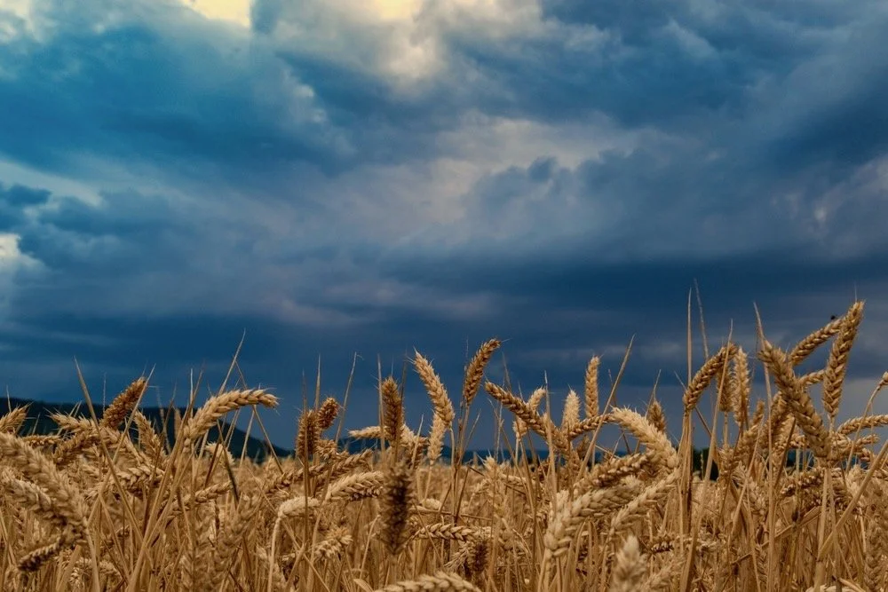 131 - It’s Time for Revival!